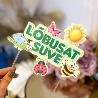koogitopper lõbusat suve lasteaia lõpetamise topper vaheajaks topper