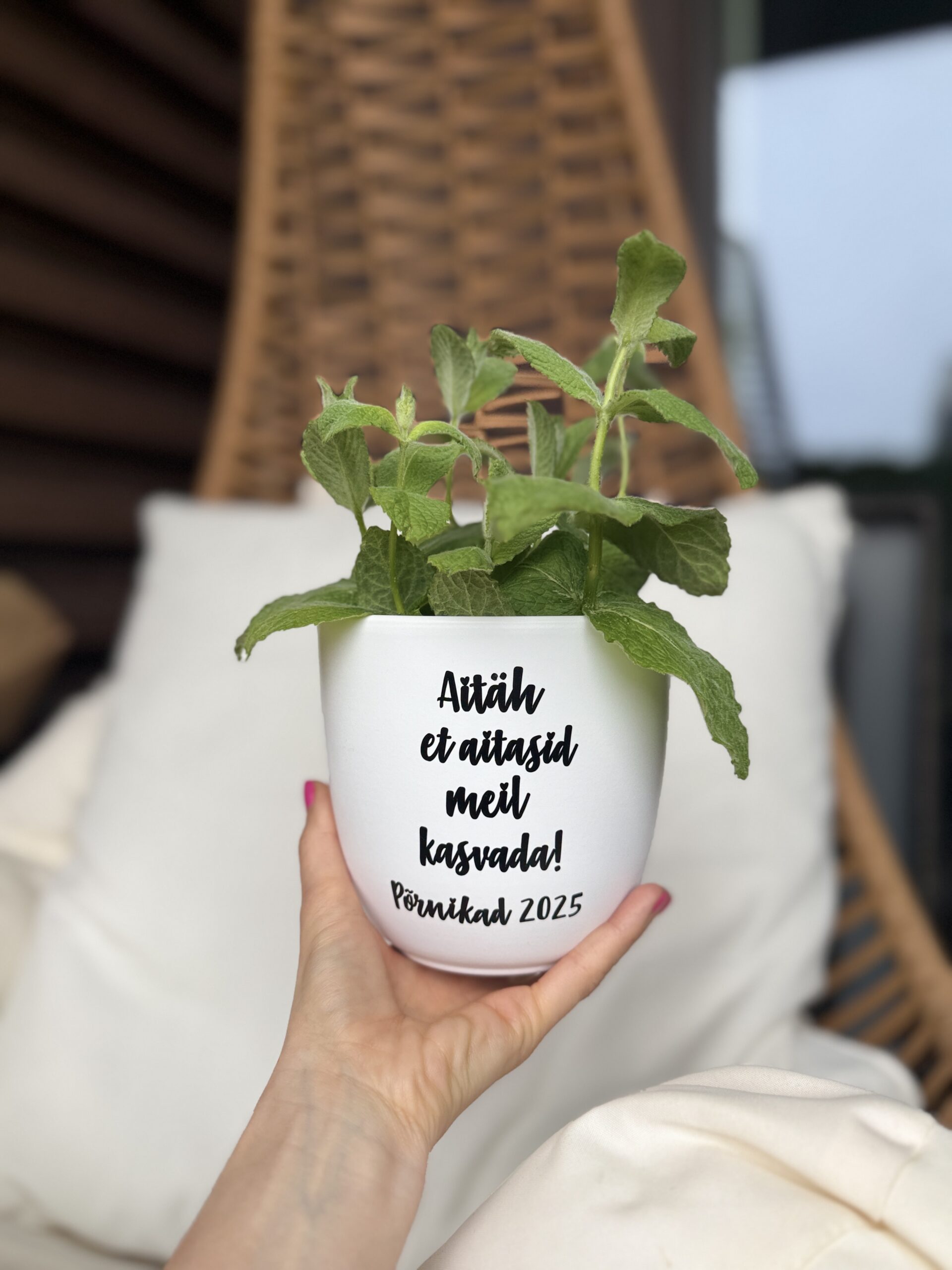 kirjaga lillepott soolaleiva kimgid