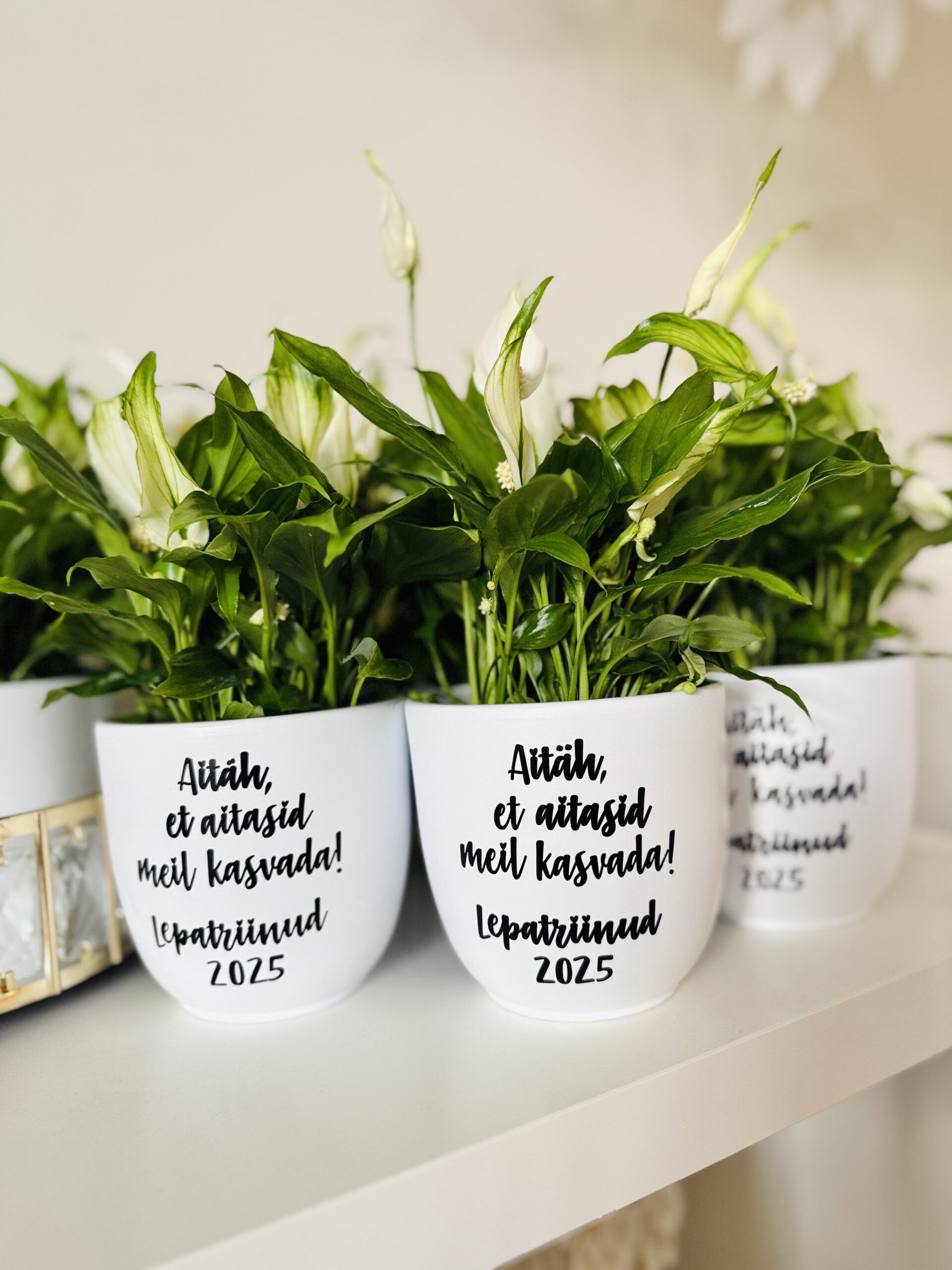 lillepott õpetajale oma kirjaga lillepott aitäh et aitasid meil kasvada lillepotid oma tekstiga.jpg