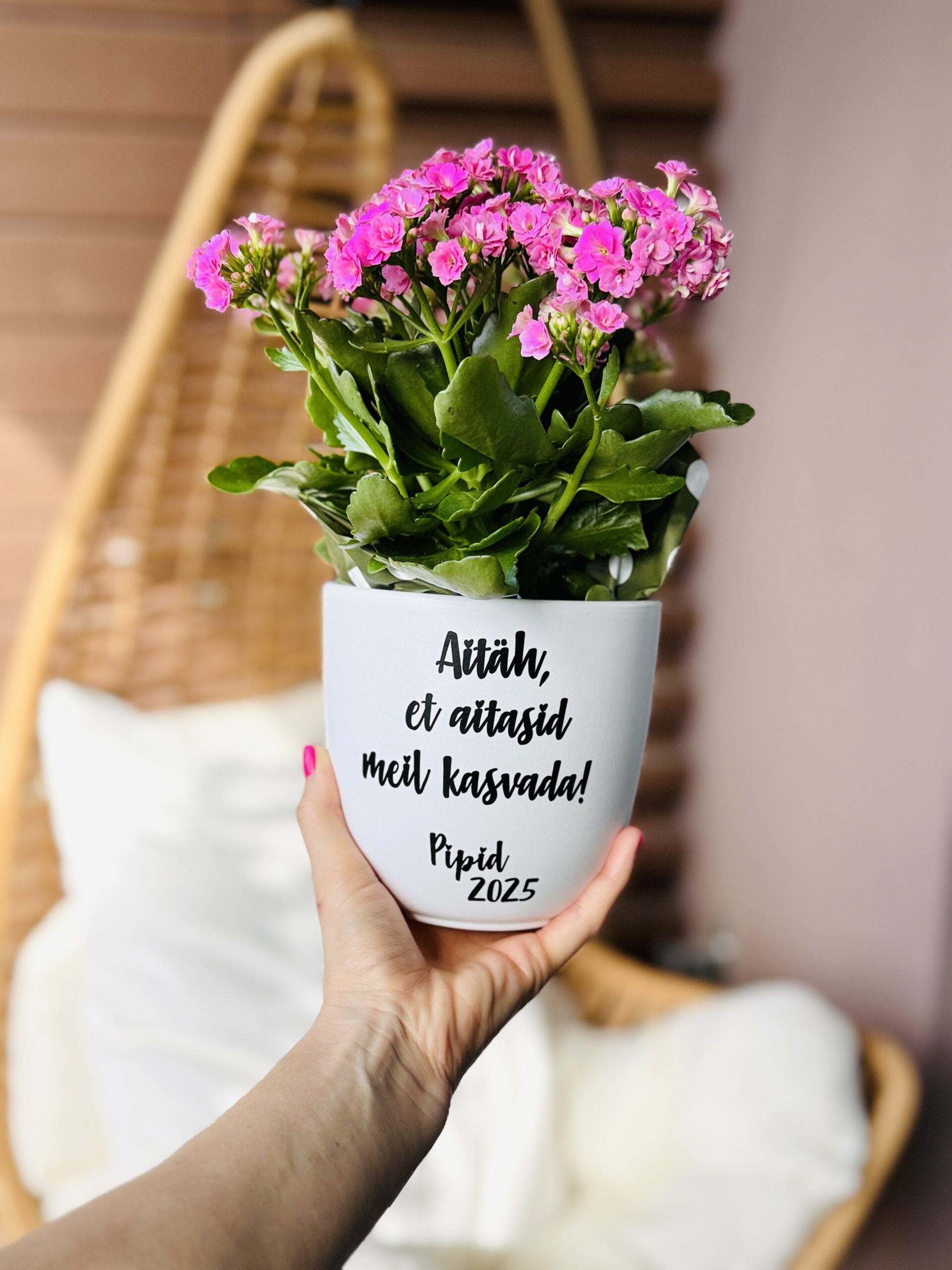 lõpukingitus lillepott õpetajale