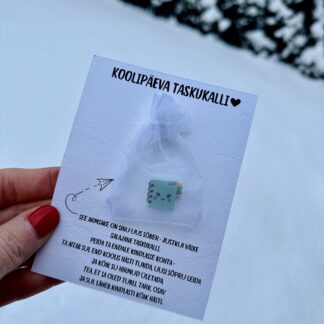 koolipäeva taskukalli