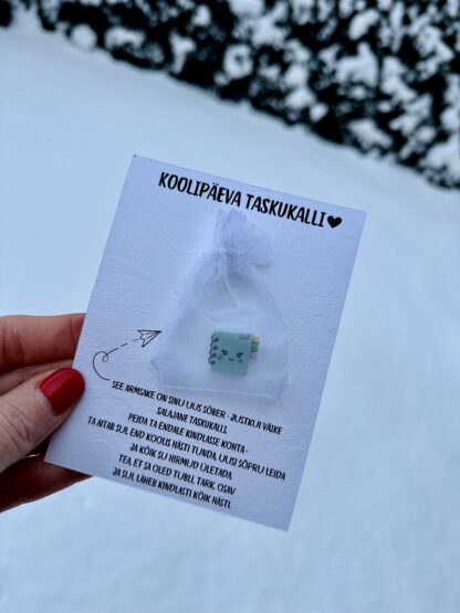 koolipäeva taskukalli