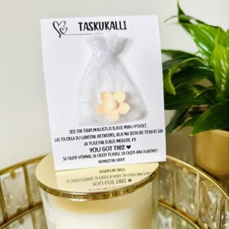 taskukalli you got this