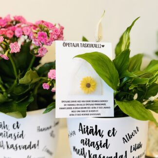 lillepott õpetajale ja taskukalli õpetajale komplekt lõpukingitus aitäh et aitasid meil kasvada