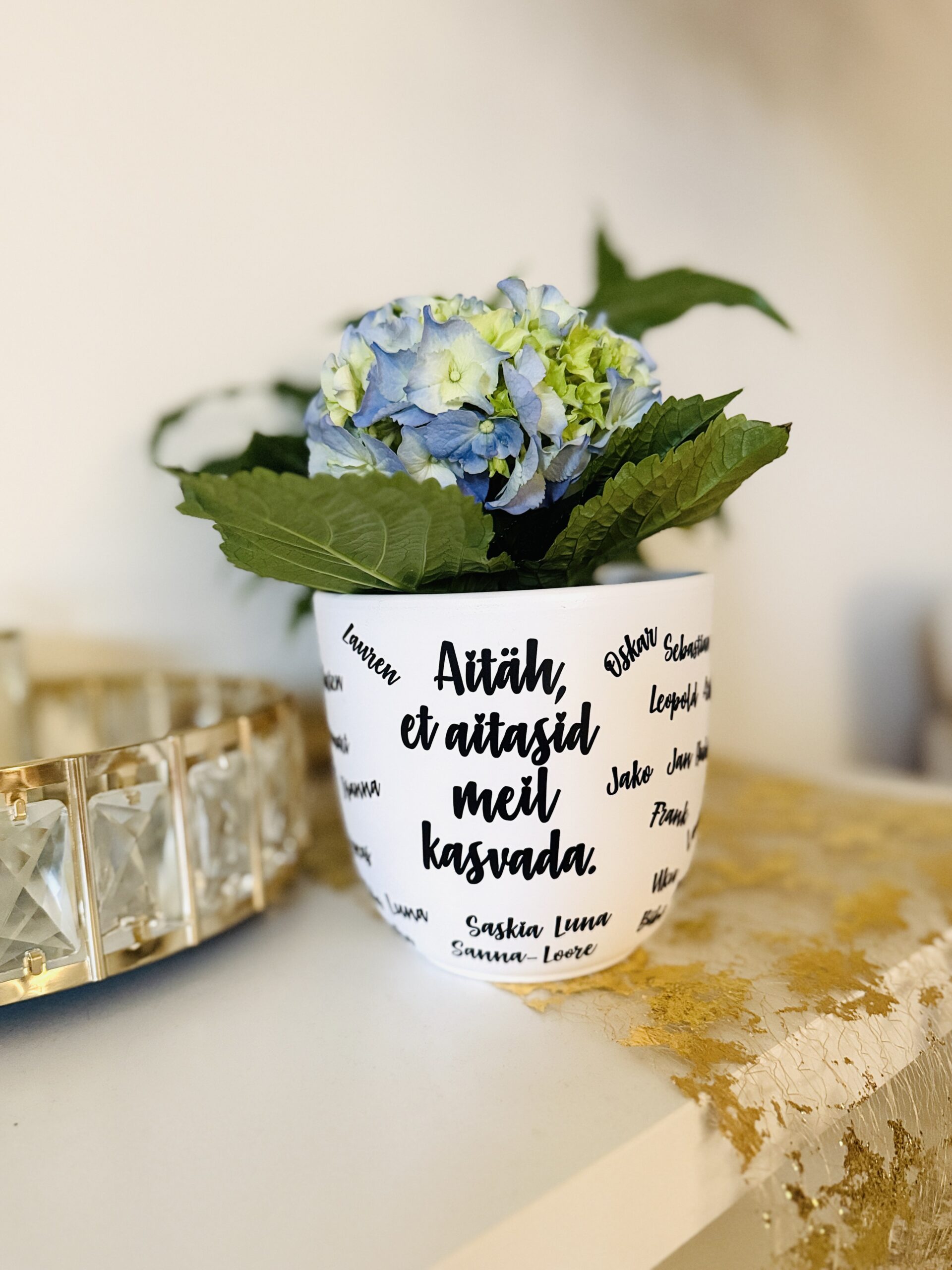 lõpukink õpetajale lillepott