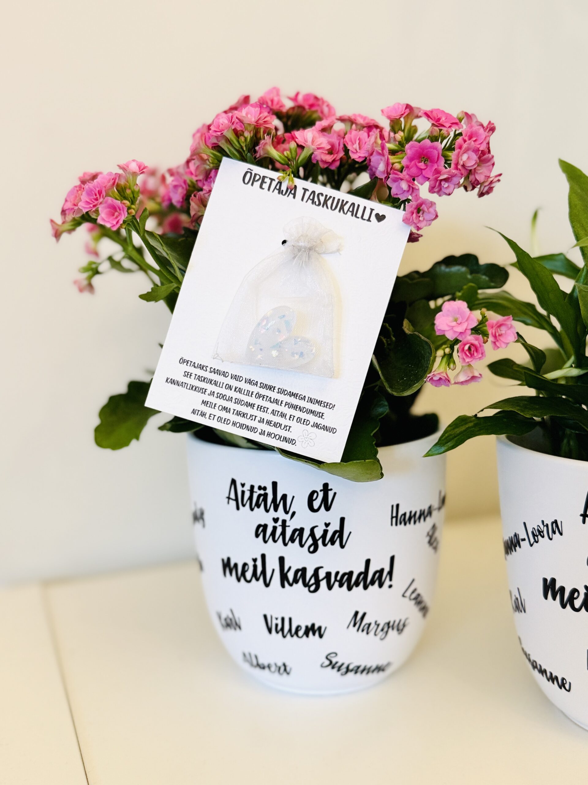 õpetaja lillepott ja taskukalli komplekt
