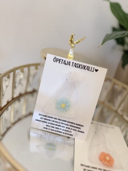 õpetaja taskukalli kingitus õpetajale