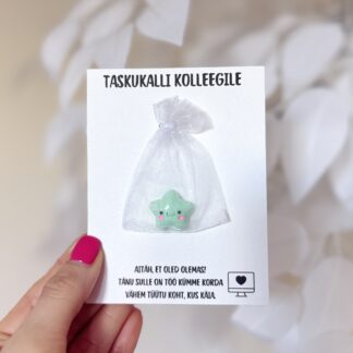 taskukalli kolleegile kingitus kallile koleegile töökaaslasele