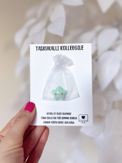 taskukalli kolleegile kingitus kallile koleegile töökaaslasele