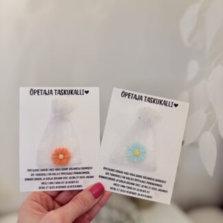 taskukalli õpetajale