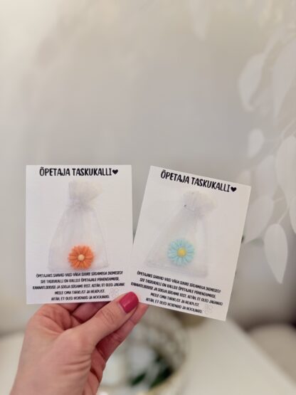 taskukalli õpetajale