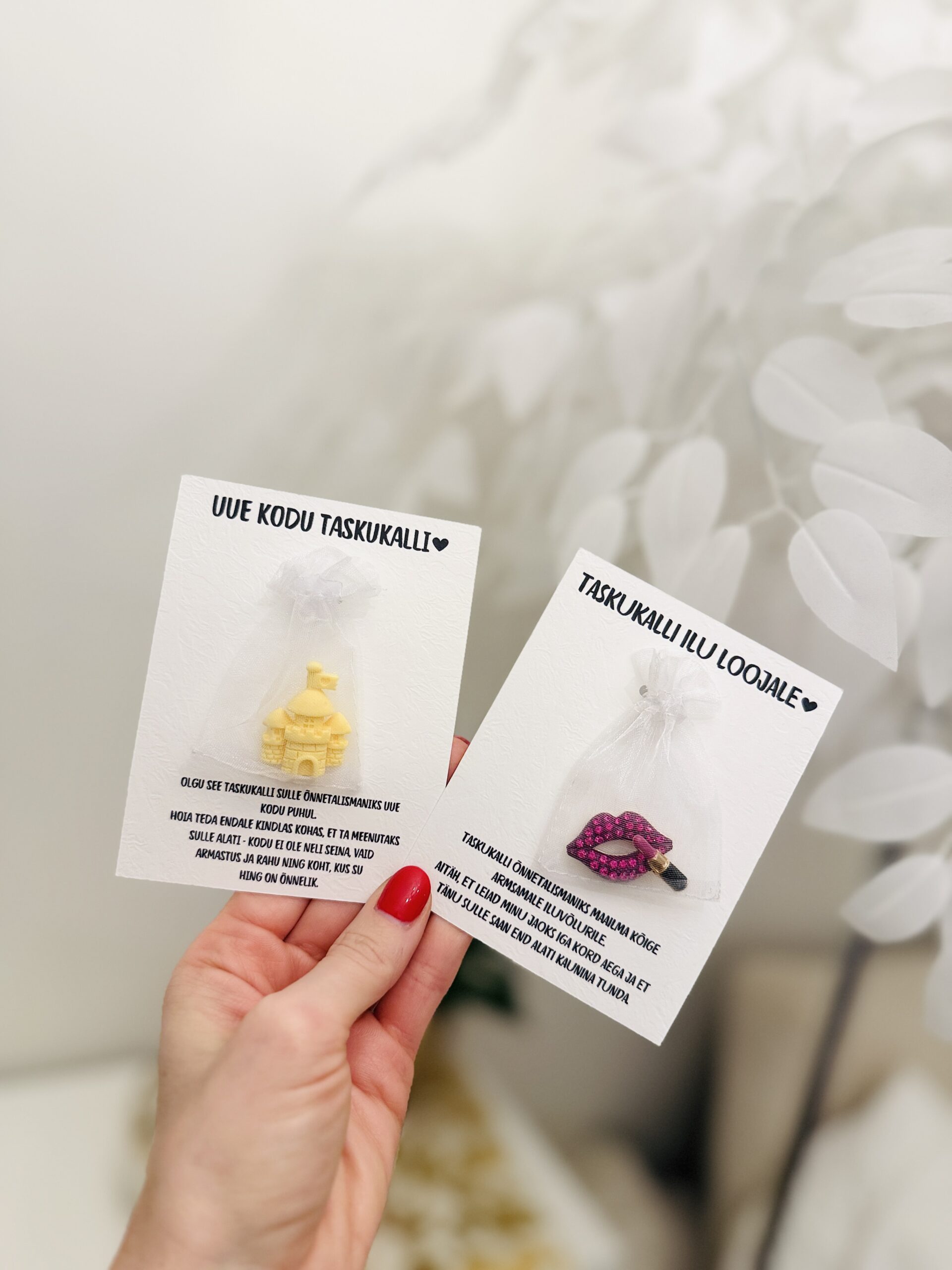 kingitus uue kodu puhul ilutegija kingitus