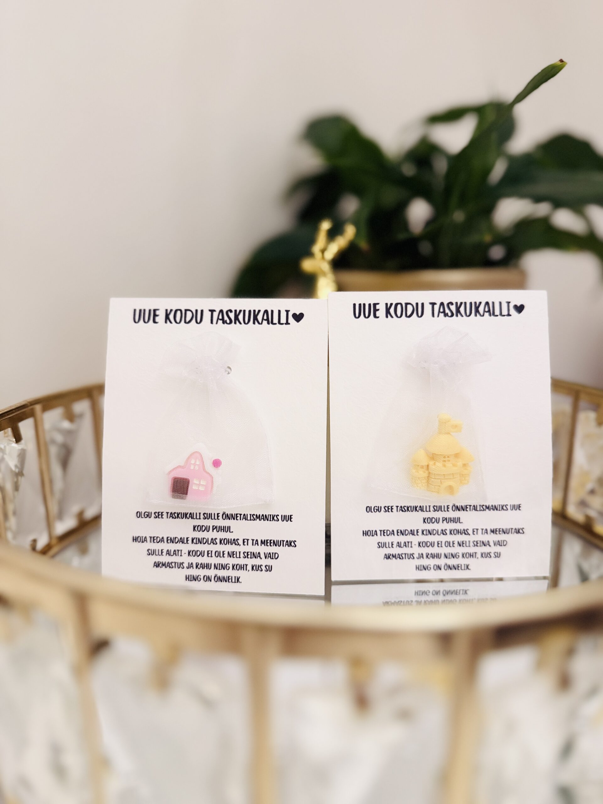 soolaleivakink soolaleivakingitus